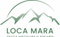loca mara logo