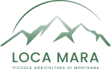 loca mara logo
